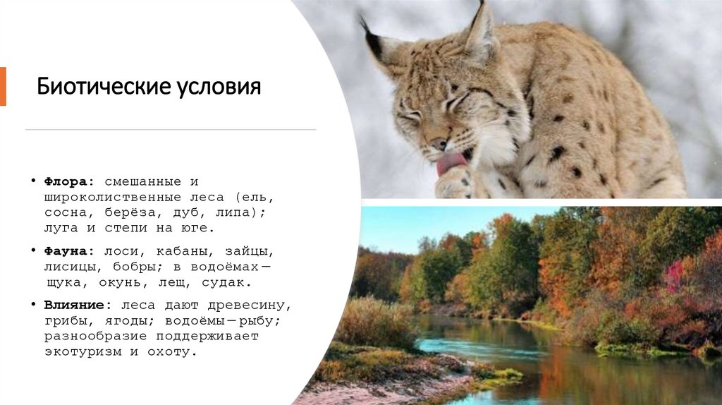 Биотические условия