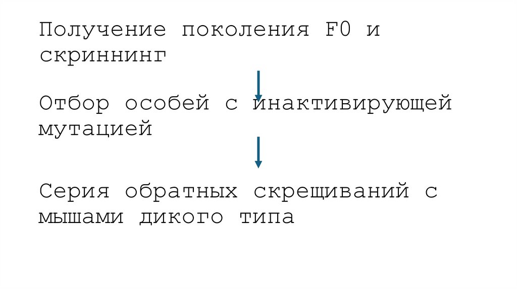 Получение поколения F0 и скриннинг