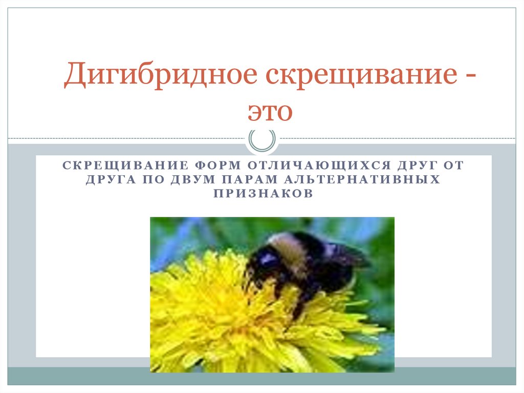 Дигибридное скрещивание - это