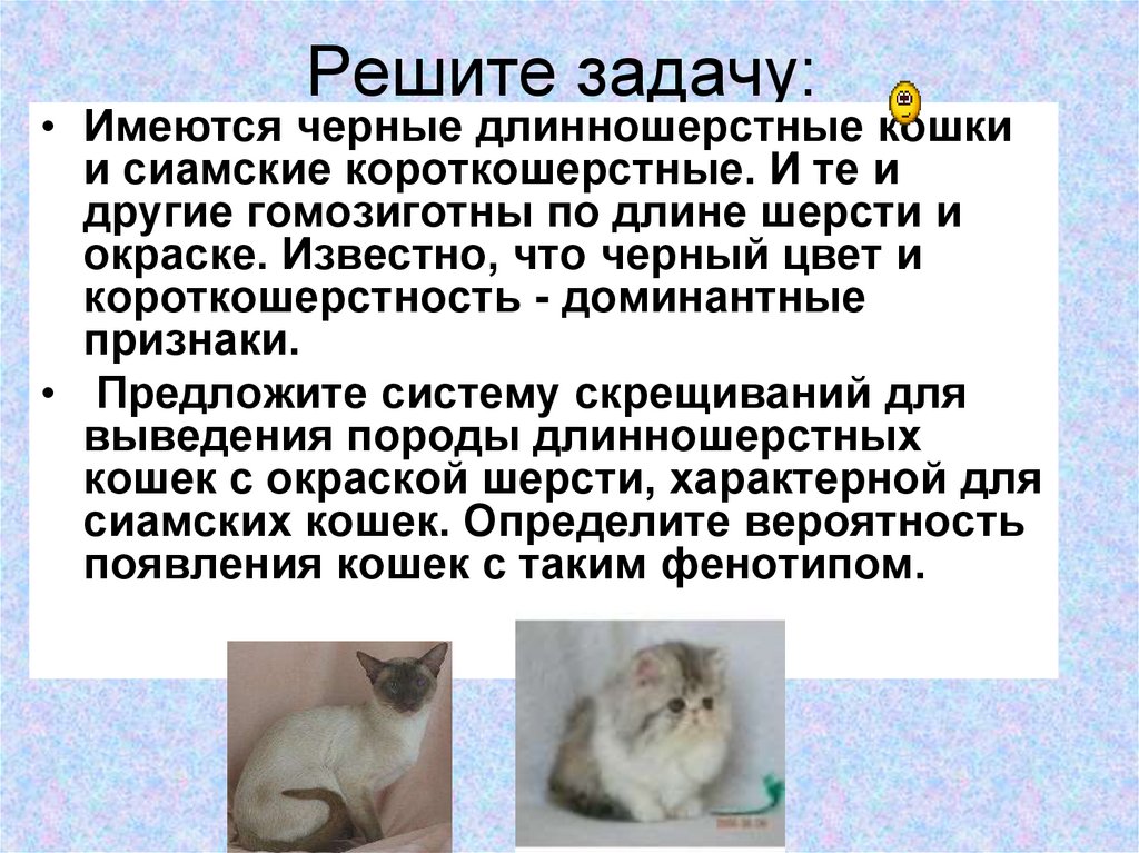 Решите задачу: