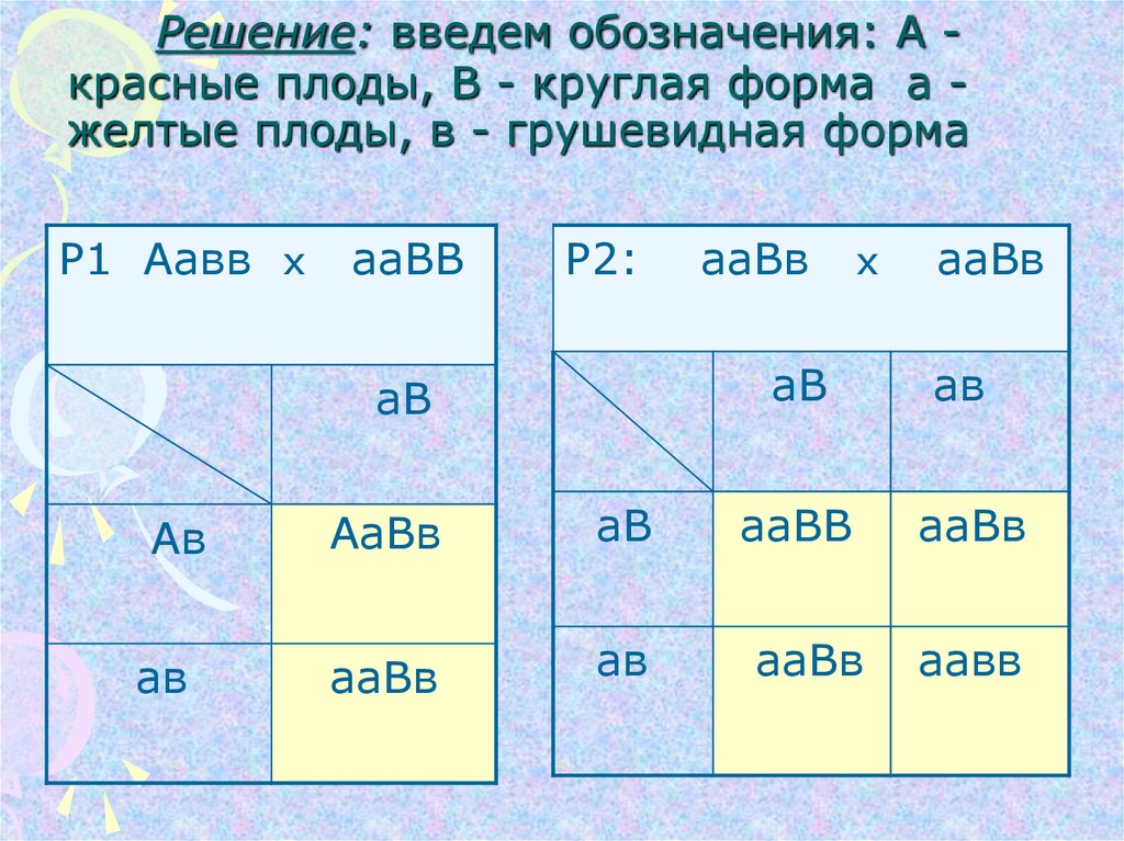     Решение: введем обозначения: А - красные плоды, В - круглая форма  а - желтые плоды, в - грушевидная форма