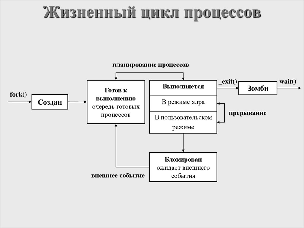 Жизненный цикл процессов