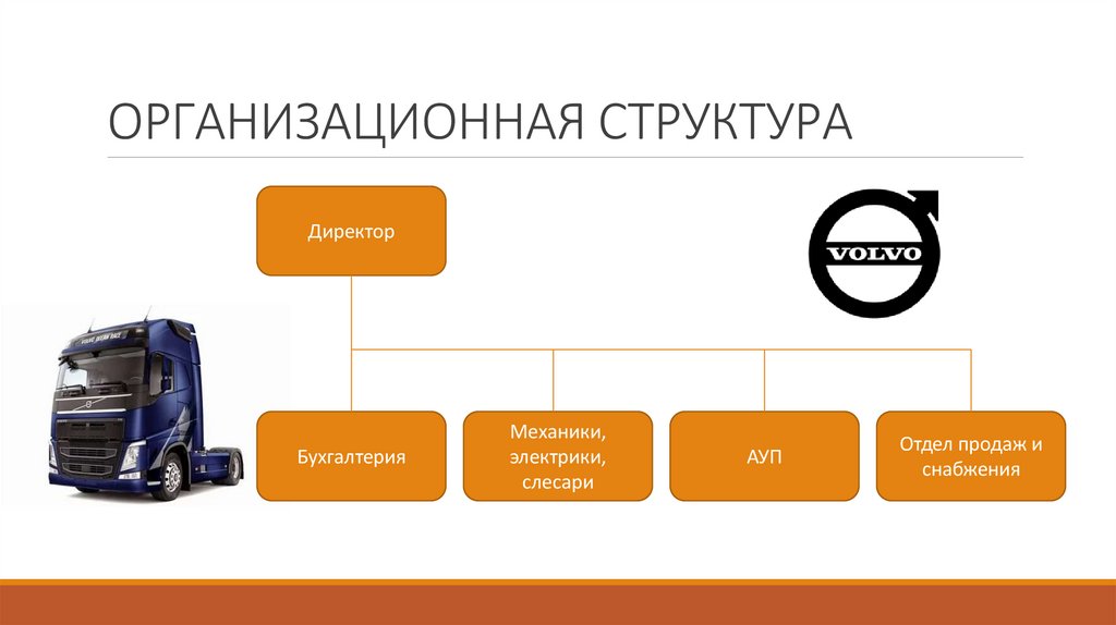ОРГАНИЗАЦИОННАЯ СТРУКТУРА