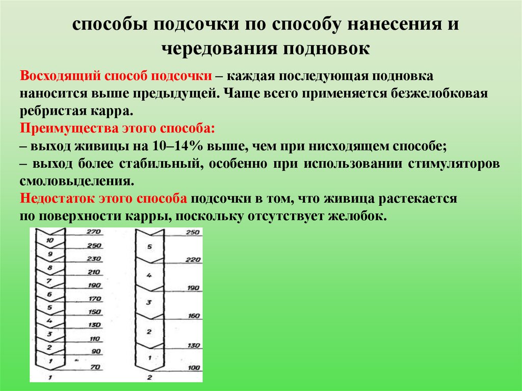 способы подсочки по способу нанесения и чередования подновок