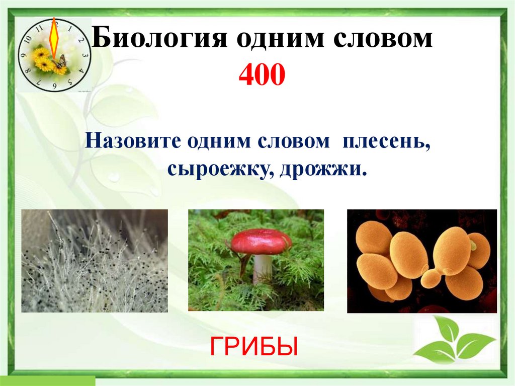 Биология одним словом 400