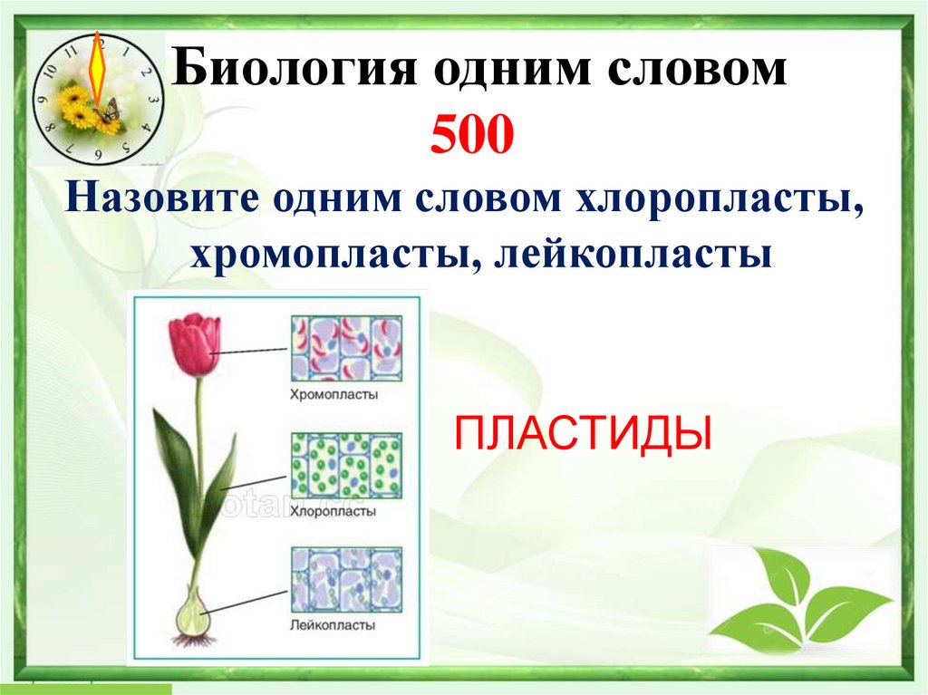 Биология одним словом 500