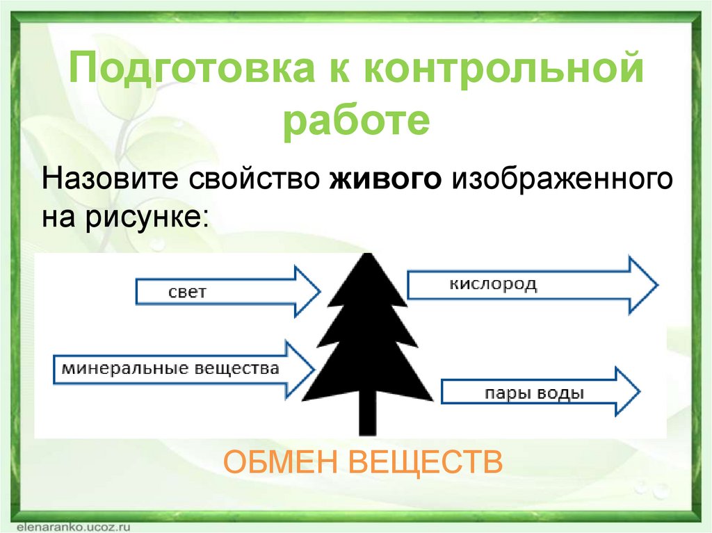 Подготовка к контрольной работе