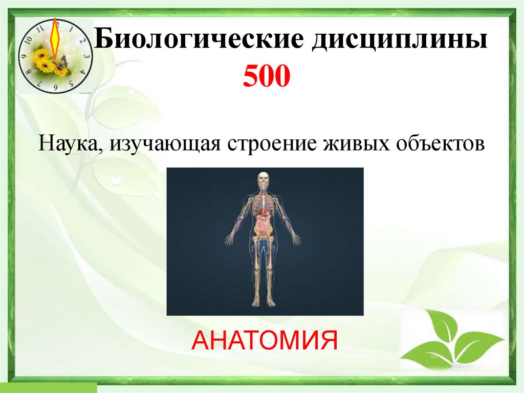 Биологические дисциплины 500