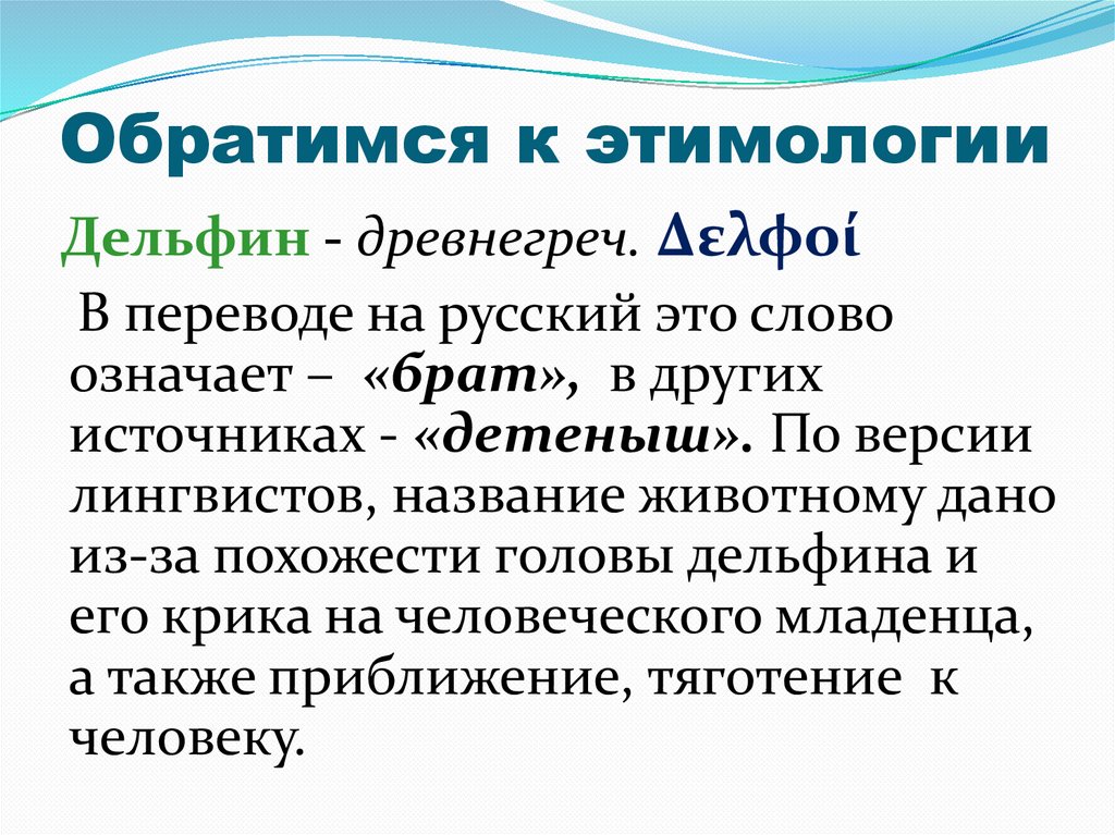 Обратимся к этимологии