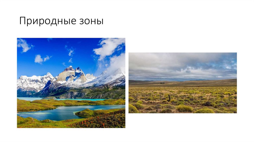 Природные зоны