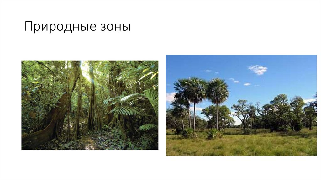 Природные зоны