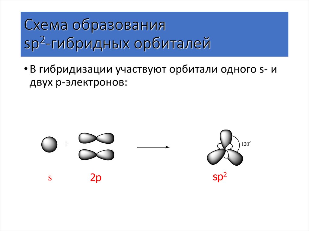 Схема образования sp2-гибридных орбиталей