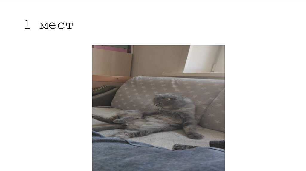 1 мест