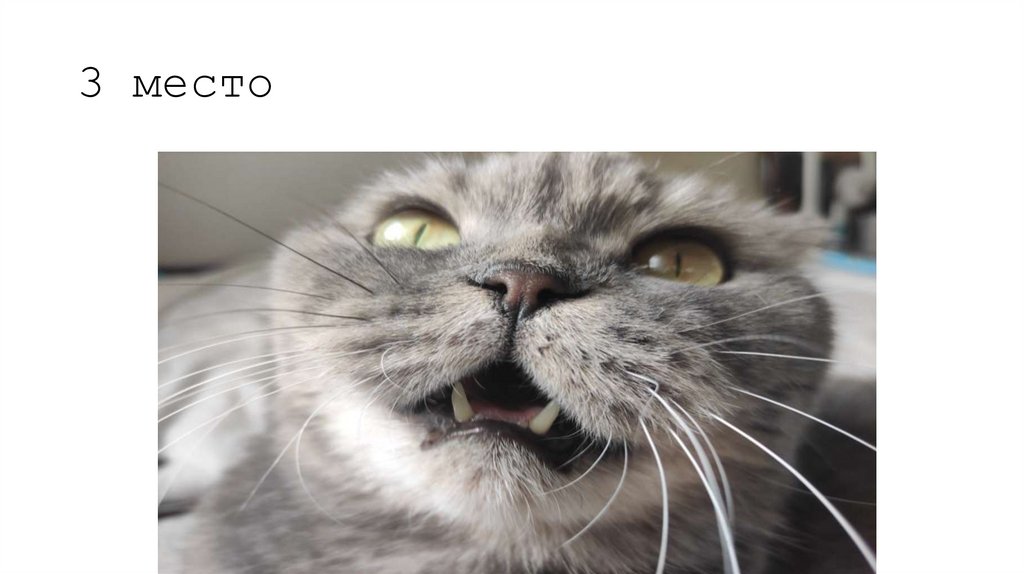 3 место