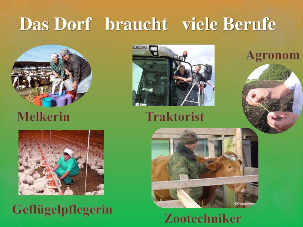 Das Dorf braucht viele Berufe