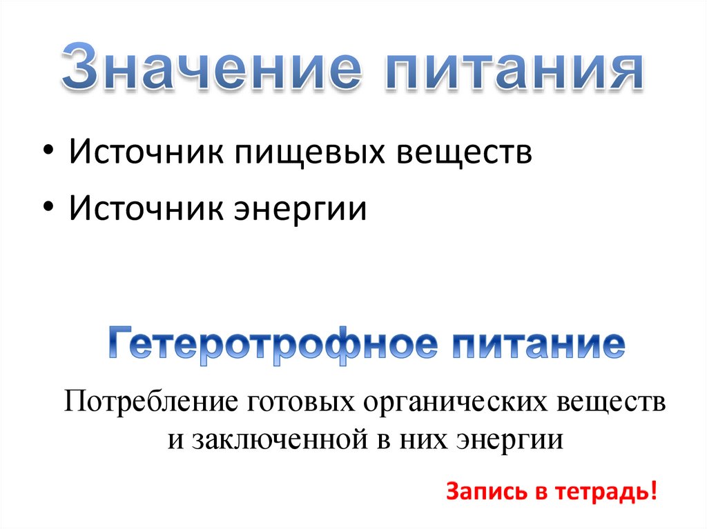 Значение питания