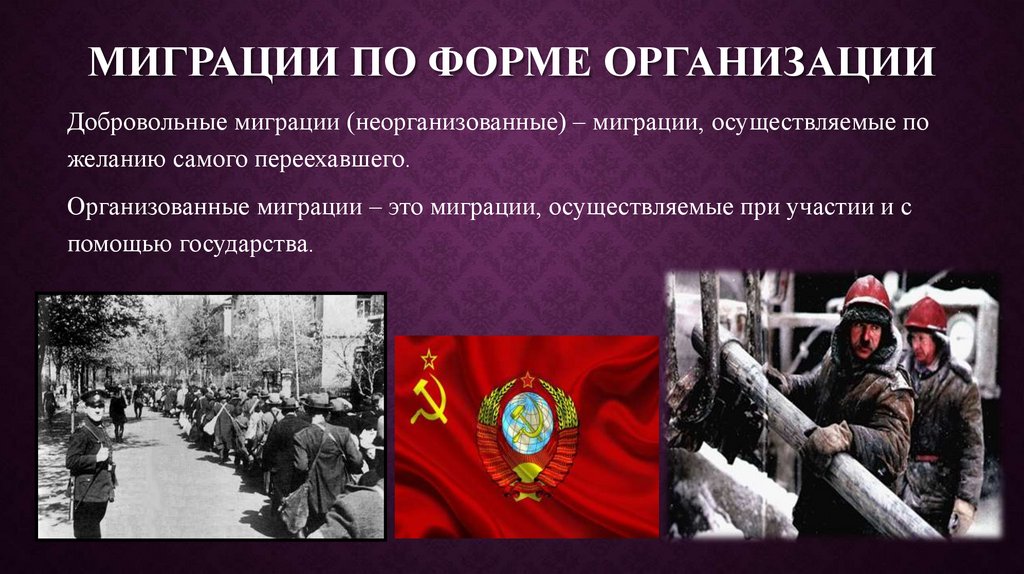 Миграции по форме организации