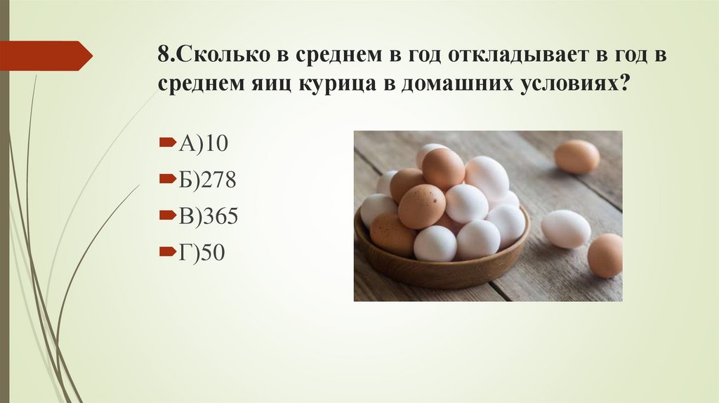 8.Сколько в среднем в год откладывает в год в среднем яиц курица в домашних условиях?