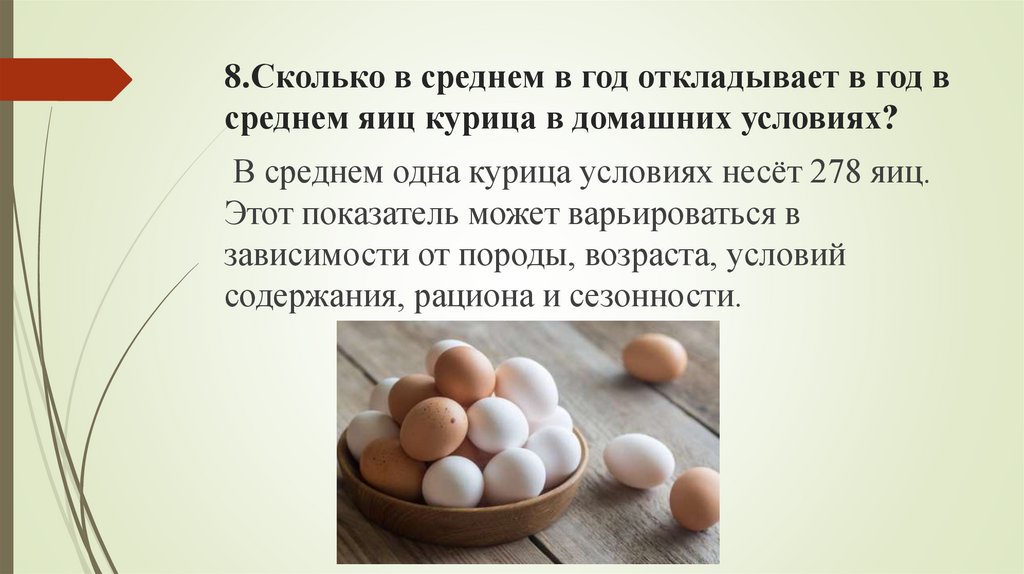 8.Сколько в среднем в год откладывает в год в среднем яиц курица в домашних условиях?