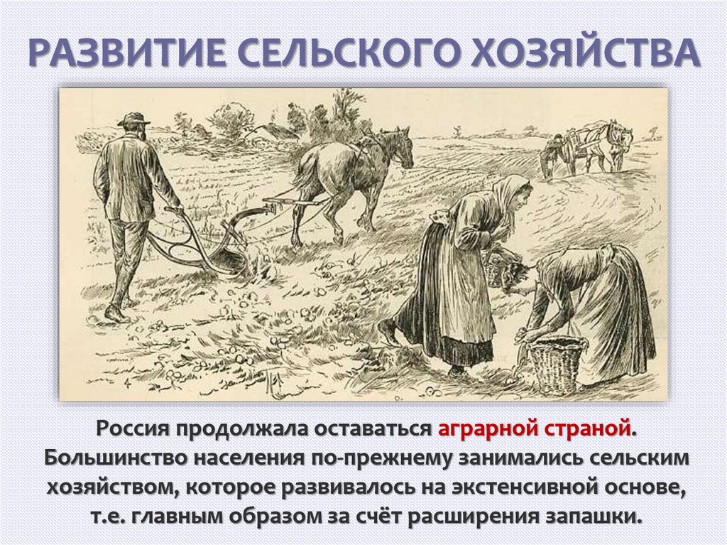 РАЗВИТИЕ СЕЛЬСКОГО ХОЗЯЙСТВА