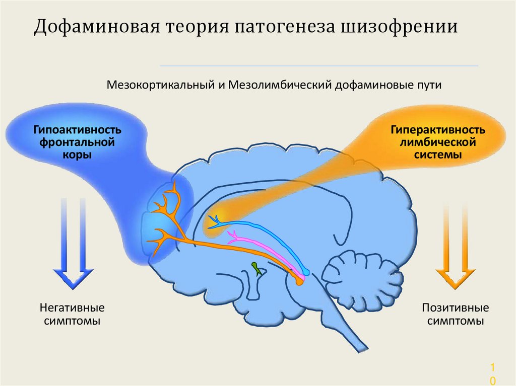 Дофаминовая теория патогенеза шизофрении