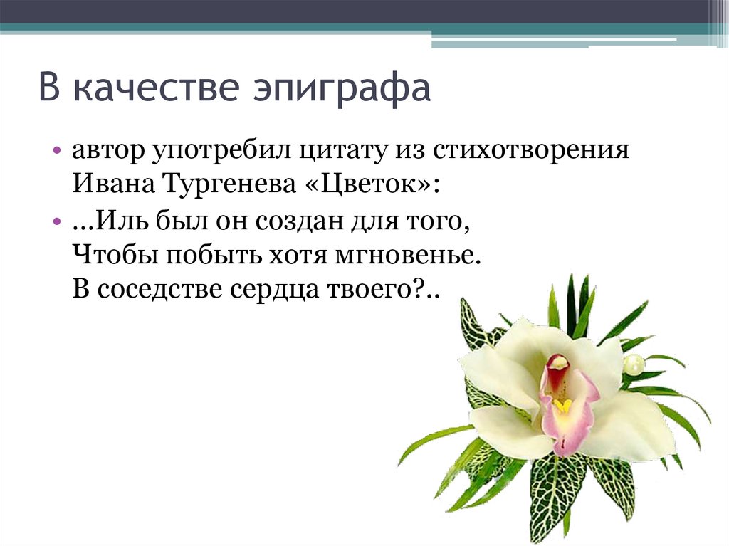 В качестве эпиграфа