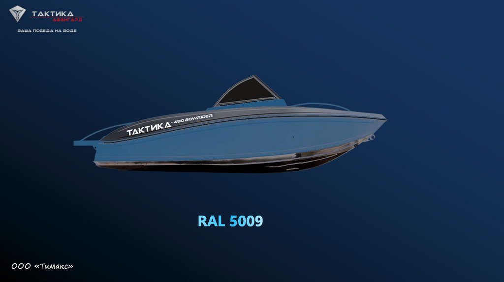 RAL 5009