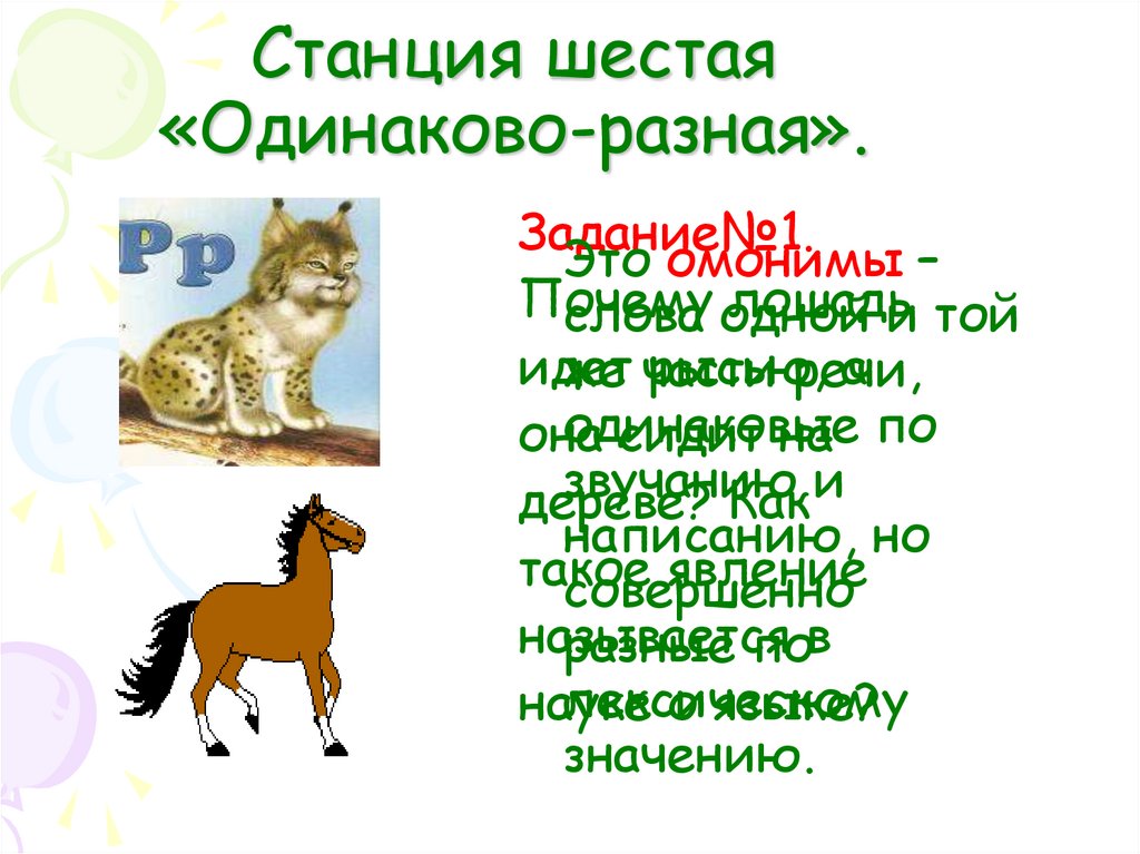 Станция шестая «Одинаково-разная».