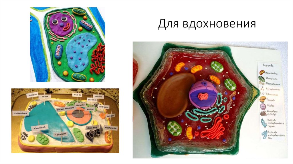 Для вдохновения