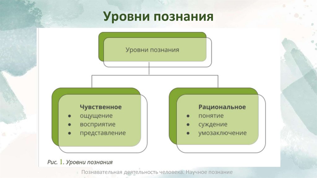 Уровни познания