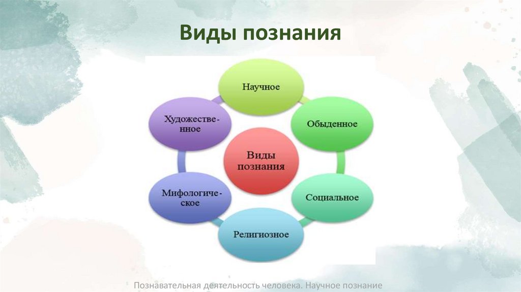 Виды познания