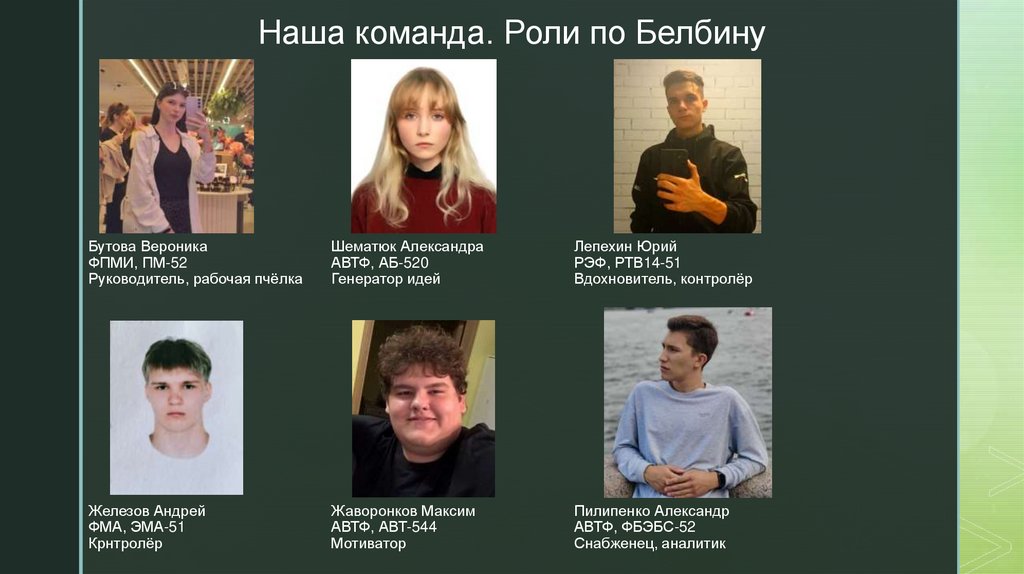 Наша команда. Роли по Белбину