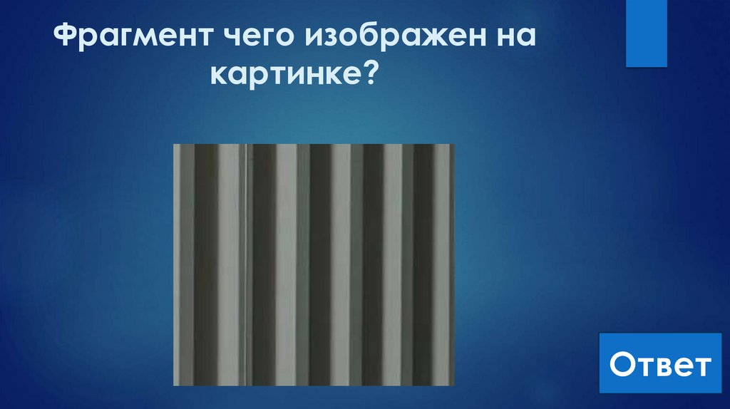 Фрагмент чего изображен на картинке?