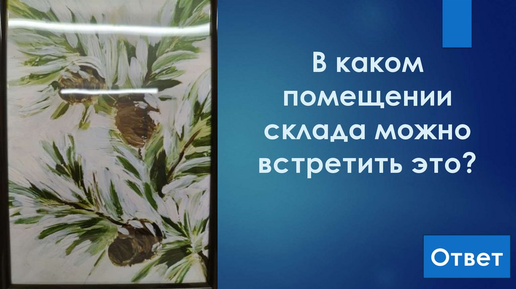 В каком помещении склада можно встретить это?