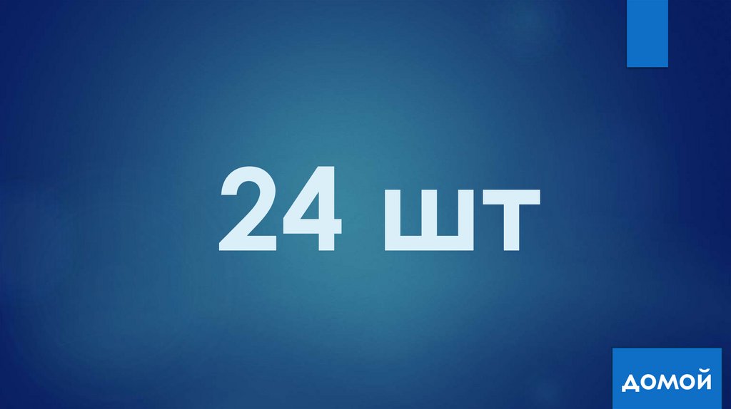 24 шт