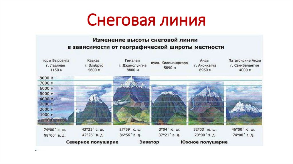 Снеговая линия