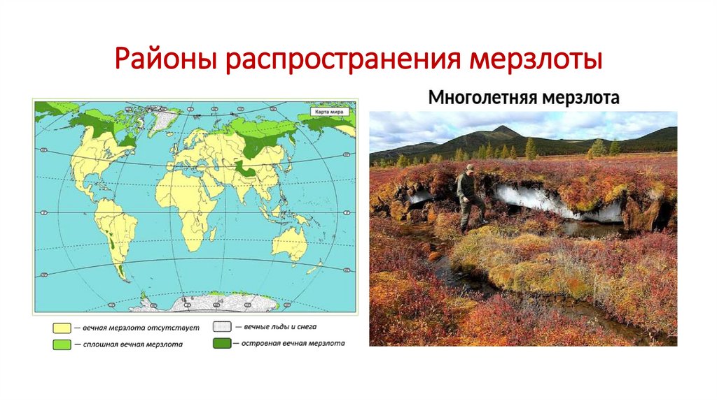 Районы распространения мерзлоты