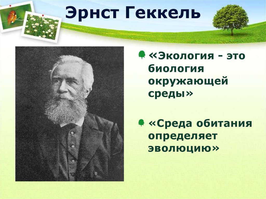 Эрнст Геккель