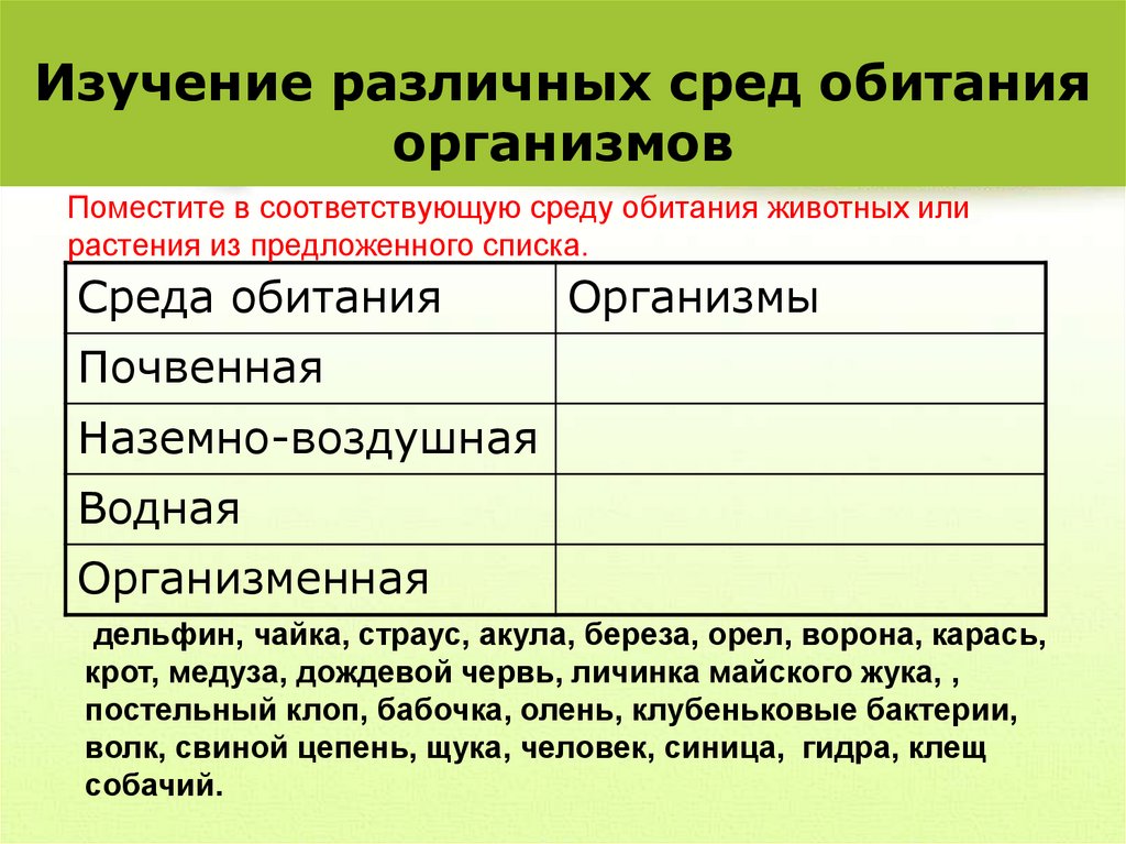 Изучение различных сред обитания организмов