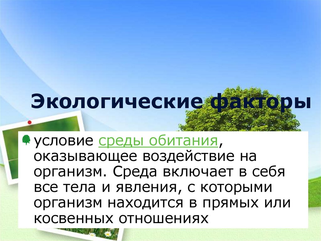 Экологические факторы