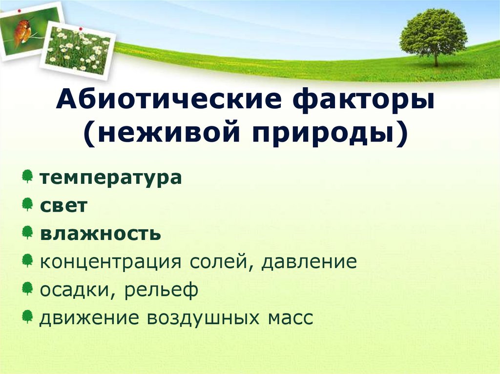 Абиотические факторы (неживой природы)