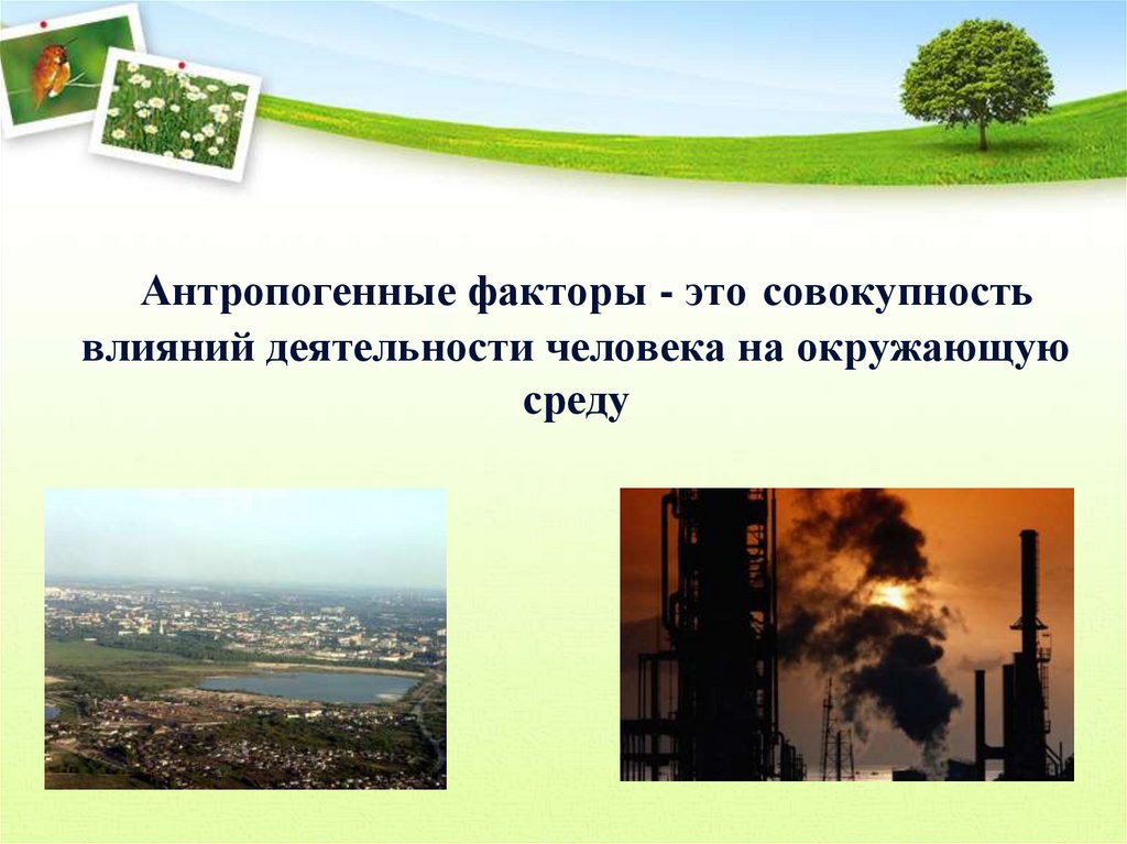 Антропогенные факторы - это совокупность влияний деятельности человека на окружающую среду