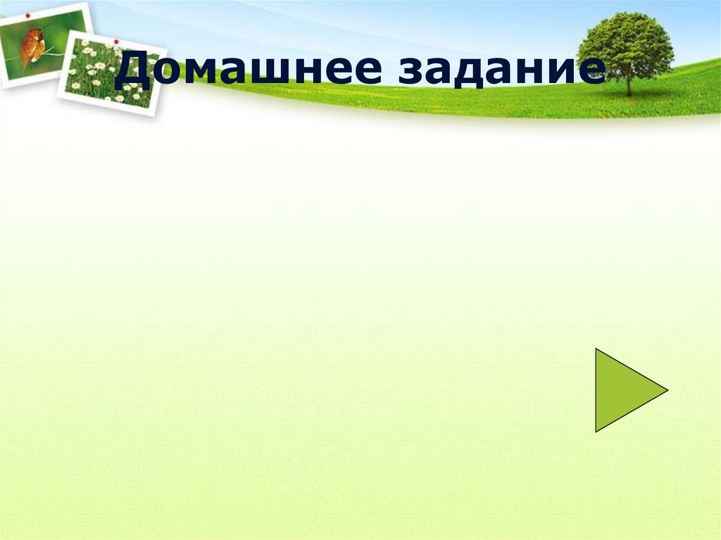 Домашнее задание