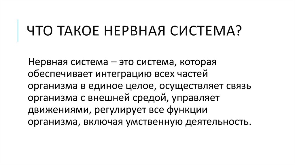 Что такое нервная система?