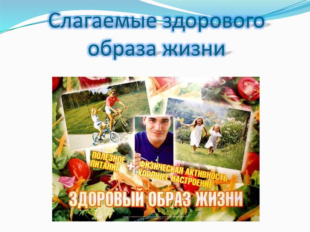 Слагаемые здорового образа жизни