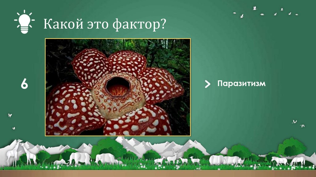 Какой это фактор?