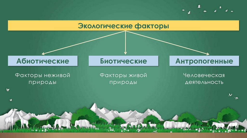 Экологические факторы