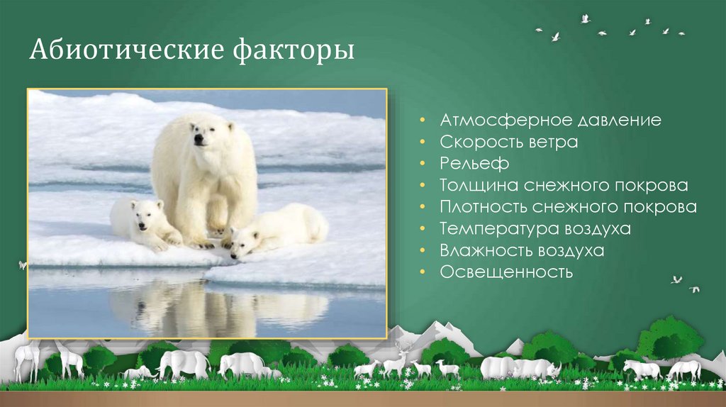 Абиотические факторы