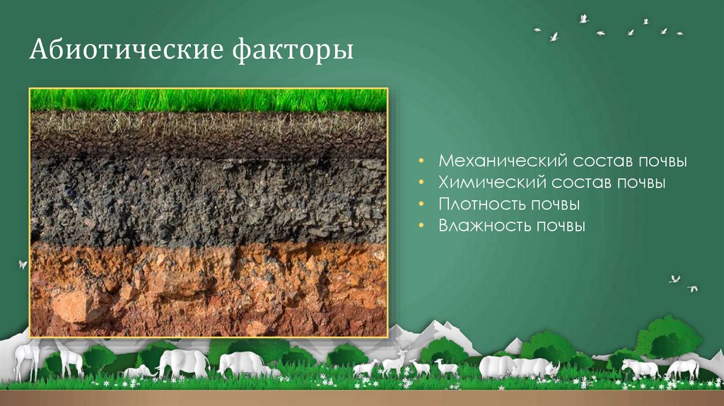 Абиотические факторы