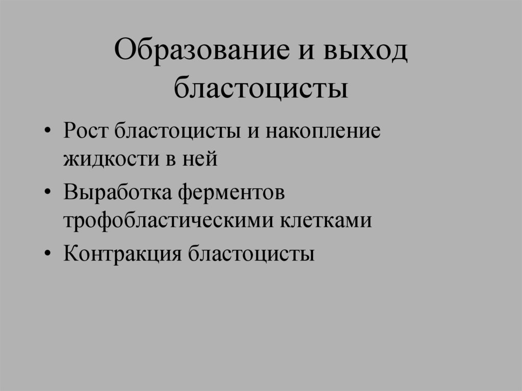 Образование и выход бластоцисты